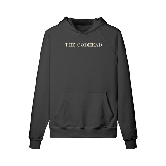 THREE IN ONE - HOODIE
